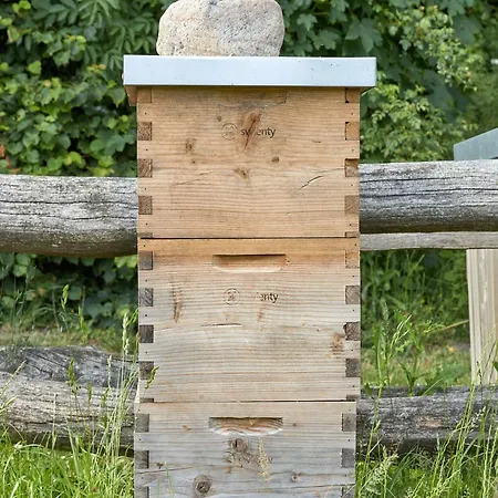 Dallund Slot ホテル